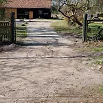 The - Pet Friendly *