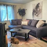The - Pet Friendly
