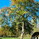 Holiday home The - Pet Friendly Meissendorf