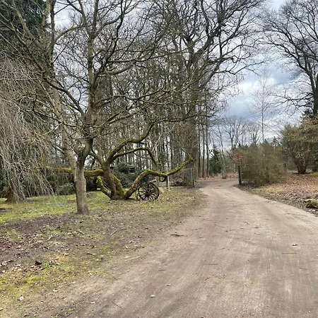 The - Pet Friendly * Meissendorf