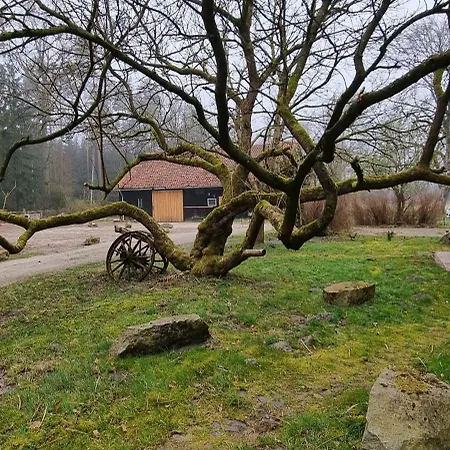 The - Pet Friendly *