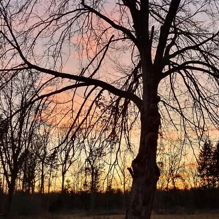 Holiday home The - Pet Friendly *