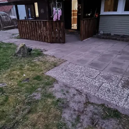 The - Pet Friendly