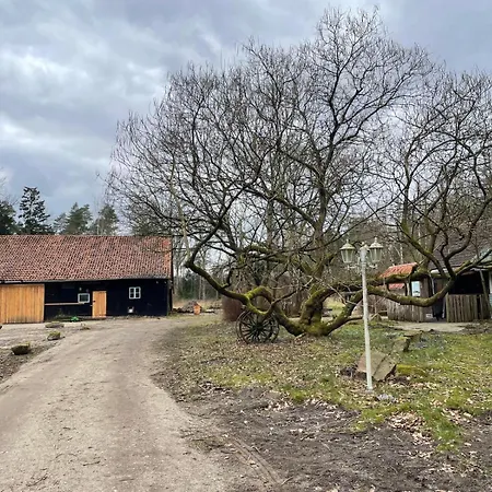 The - Pet Friendly Meissendorf