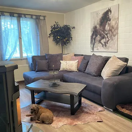 The - Pet Friendly