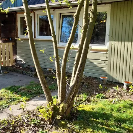 The - Pet Friendly Holiday home