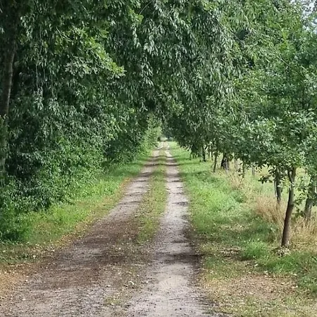The - Pet Friendly Сasa de vacaciones Meißendorf