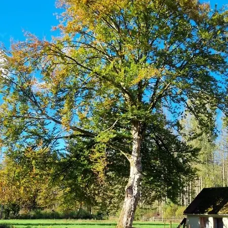 Feriehus The - Pet Friendly Meißendorf