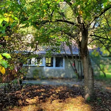 The - Pet Friendly Meißendorf