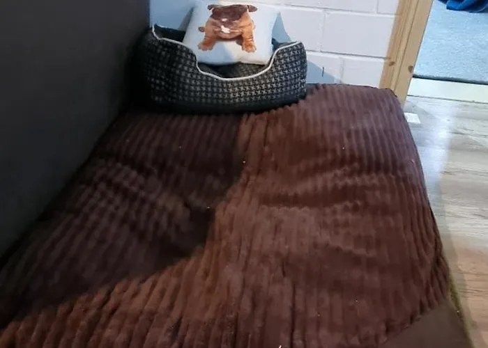 The - Pet Friendly Hébergement de vacances Meißendorf