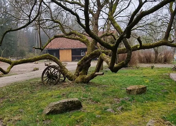 The - Pet Friendly *