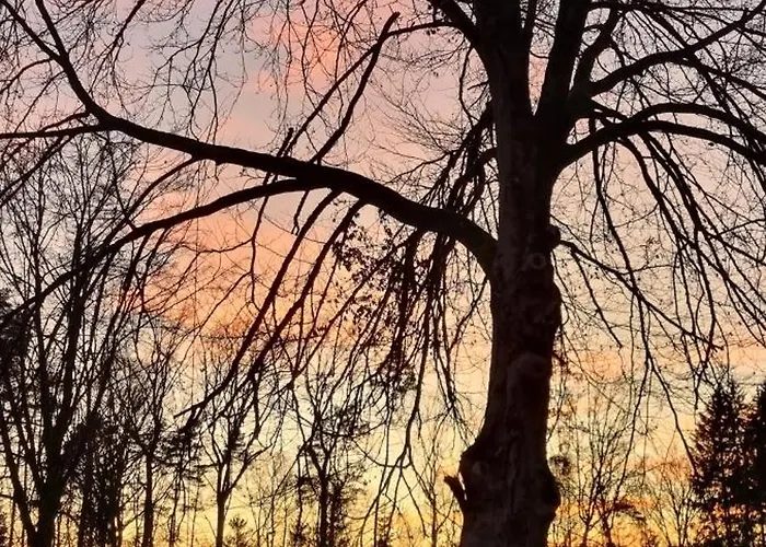 Hébergement de vacances The - Pet Friendly *