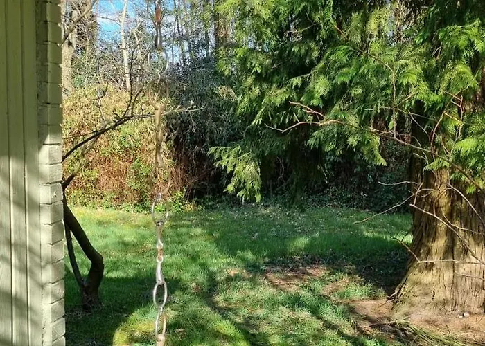 Hébergement de vacances The - Pet Friendly *