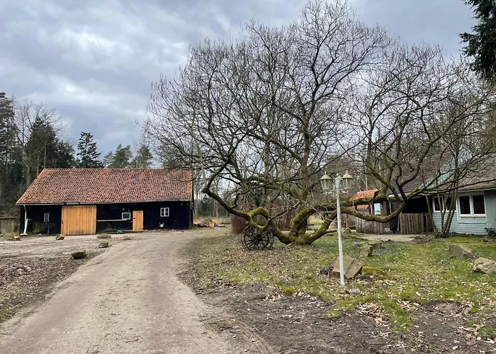 The - Pet Friendly Meißendorf