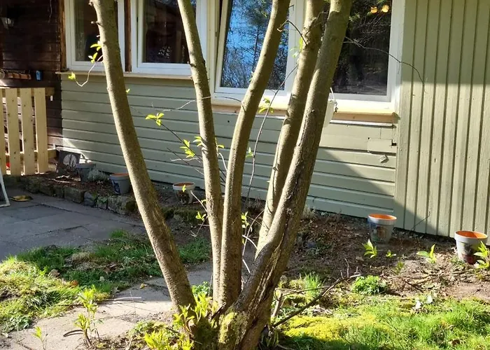 The - Pet Friendly Hébergement de vacances