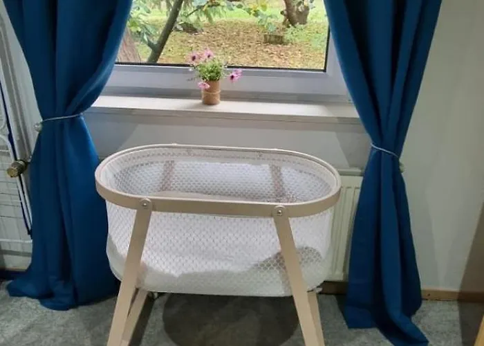 The - Pet Friendly *