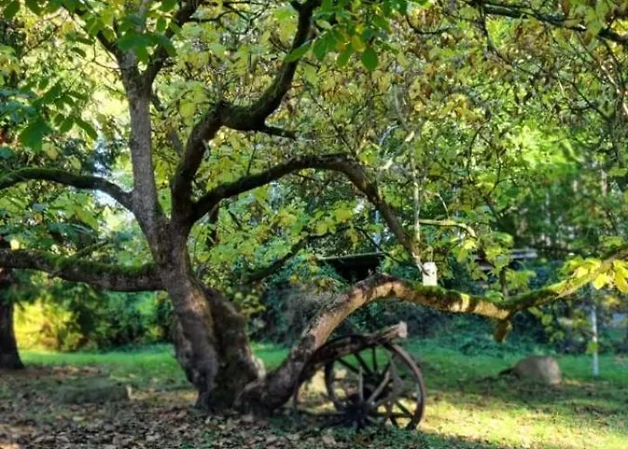 The - Pet Friendly Hébergement de vacances *