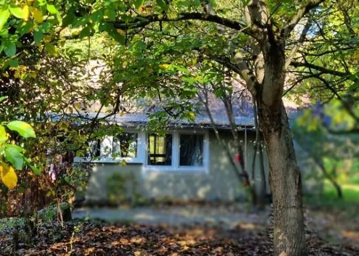 The - Pet Friendly Meißendorf