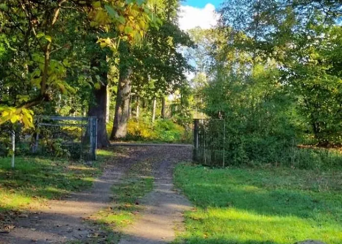 The - Pet Friendly Hébergement de vacances