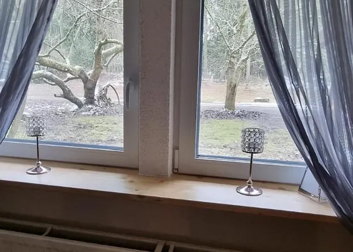 Hébergement de vacances The - Pet Friendly *