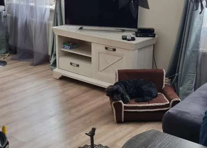 Hébergement de vacances The - Pet Friendly Meißendorf