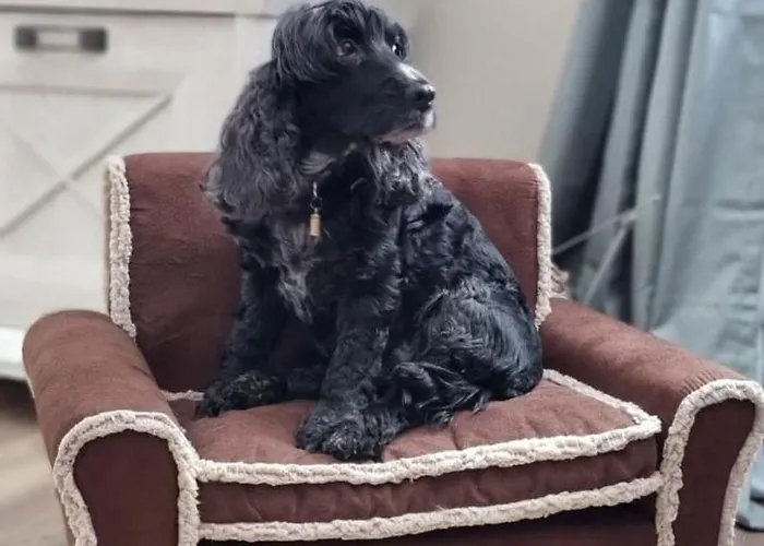 The - Pet Friendly Meißendorf