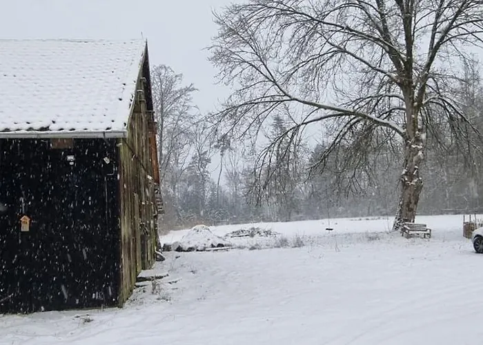 The - Pet Friendly *