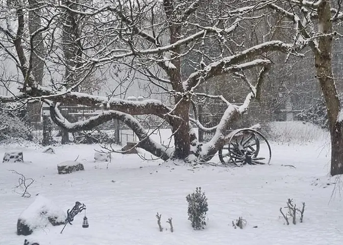 The - Pet Friendly * Meißendorf